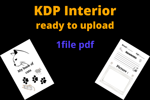 Integrating Cats Notebooks for KDP Into Your Publishing and Personal Organization Workflow